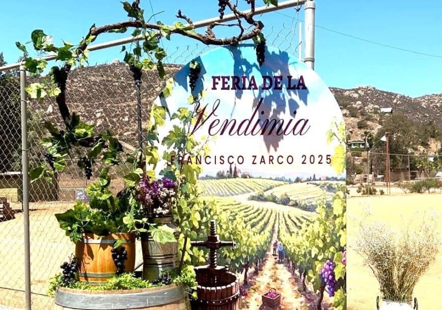 Disfrutaron 9na edición “Feria de la Vendimia 2025”