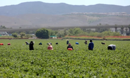 Aumenta trata laboral en San Diego; comunidades migrantes las más afectadas