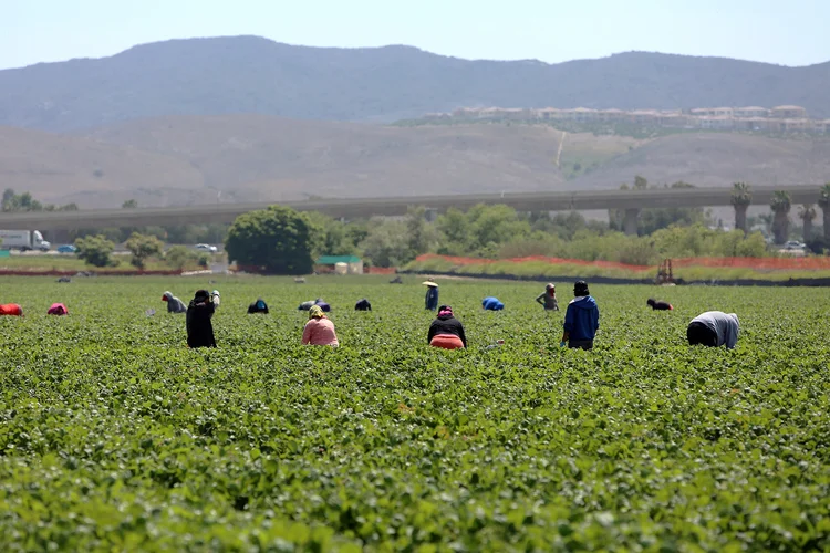 Aumenta trata laboral en San Diego; comunidades migrantes las más afectadas