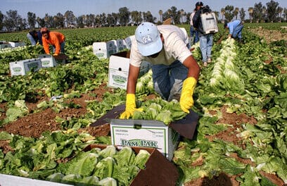 Canceló EU programas de apoyo a México para el fortalecimiento laboral