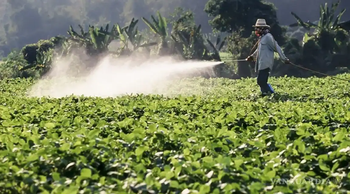 Prohíbe México uso de 35 plaguicidas ‘altamente peligrosos’