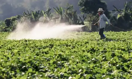 Prohíbe México uso de 35 plaguicidas ‘altamente peligrosos’