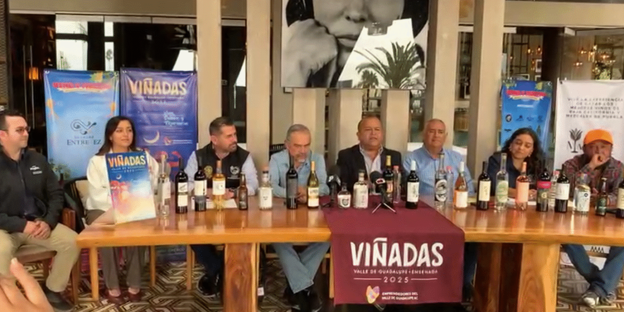 Colaborarán productores en festival del Vino y Mezcal