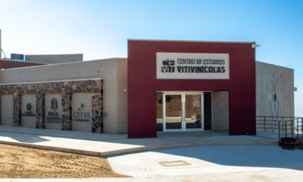 Reunirá Cevit expertos en primer Simposio Internacional “Viticultura Sustentable”