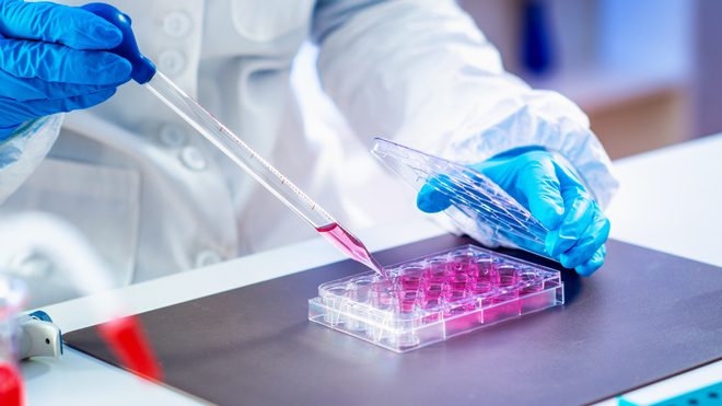 Buscan posicionar a Tijuana como capital mundial de la Medicina Regenerativa
