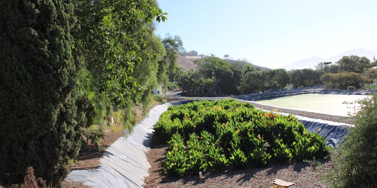 Celebran 32 años de Ecoparque, pulmón verde en Tijuana