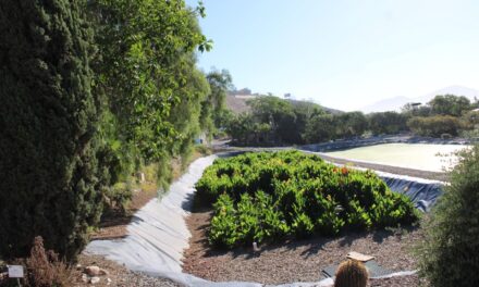Celebran 32 años de Ecoparque, pulmón verde en Tijuana