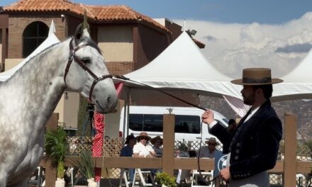 Conquista la “2ª Feria del Caballo” al Valle de Guadalupe