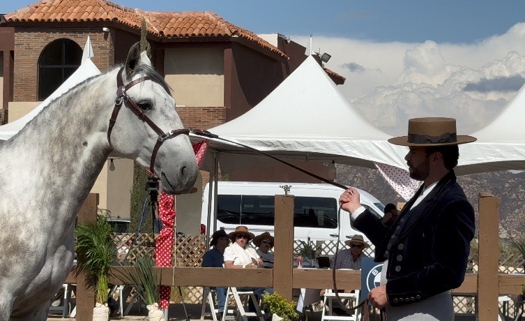 Conquista la “2ª Feria del Caballo” al Valle de Guadalupe