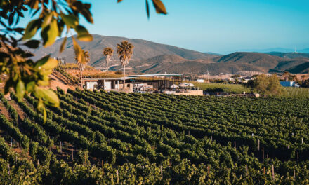 Aparece Valle de Guadalupe entre los mejores destinos Turísticos para 2026