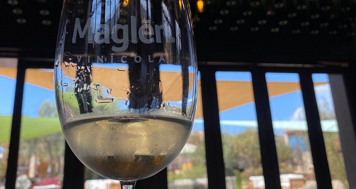 Consolidan vinos de BC en “Global Wine 2025”
