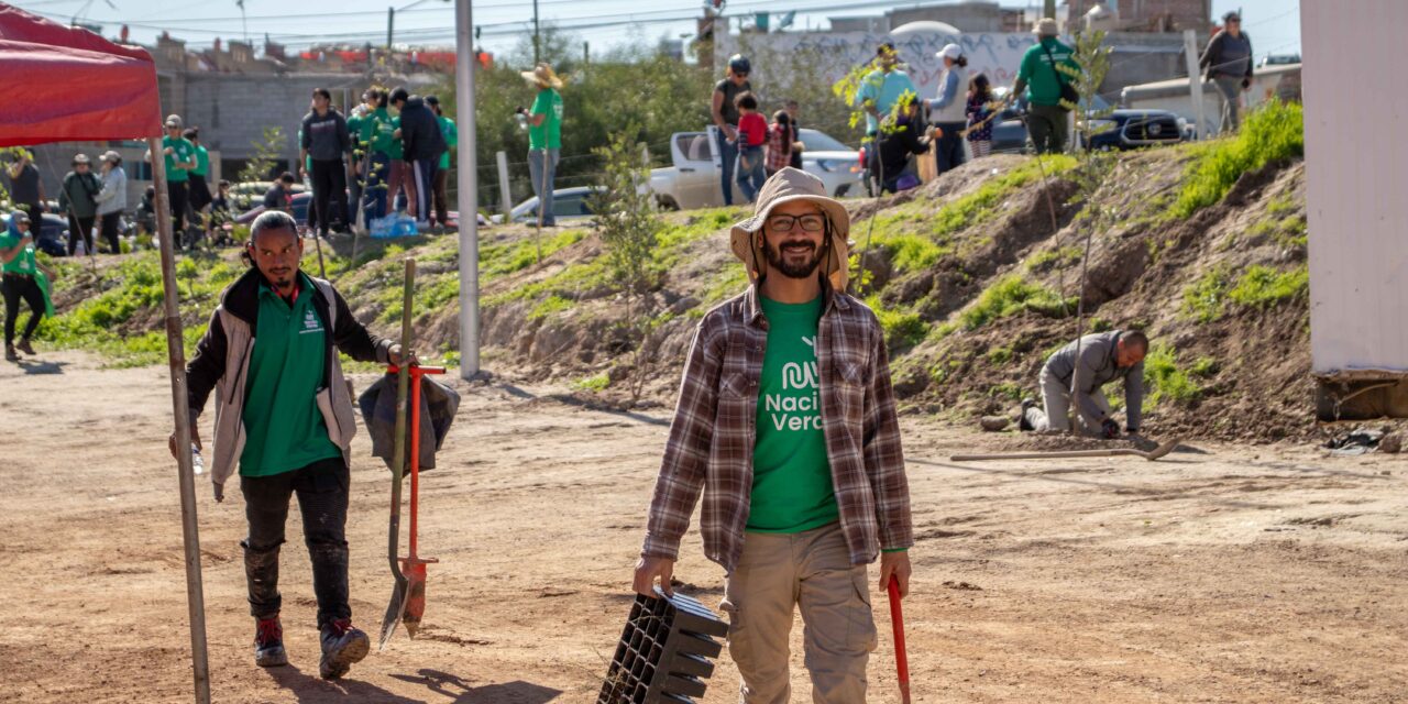 Convierten compensación ambiental en oportunidad estratégica para las empresas