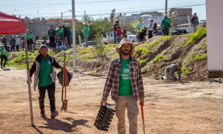 Convierten compensación ambiental en oportunidad estratégica para las empresas