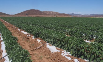 Podría definirse compensación por derechos de agua para Tijuana el lunes