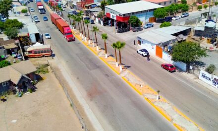 Transforma Nación Verde el espacio público con modelos de infraestructura verde sostenible