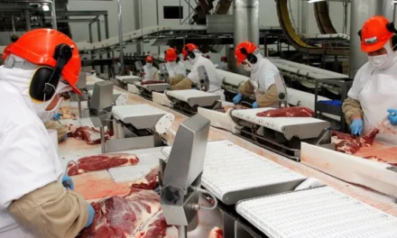 Inicia México investigación por prácticas desleales contra carne de cerdo de EEUU