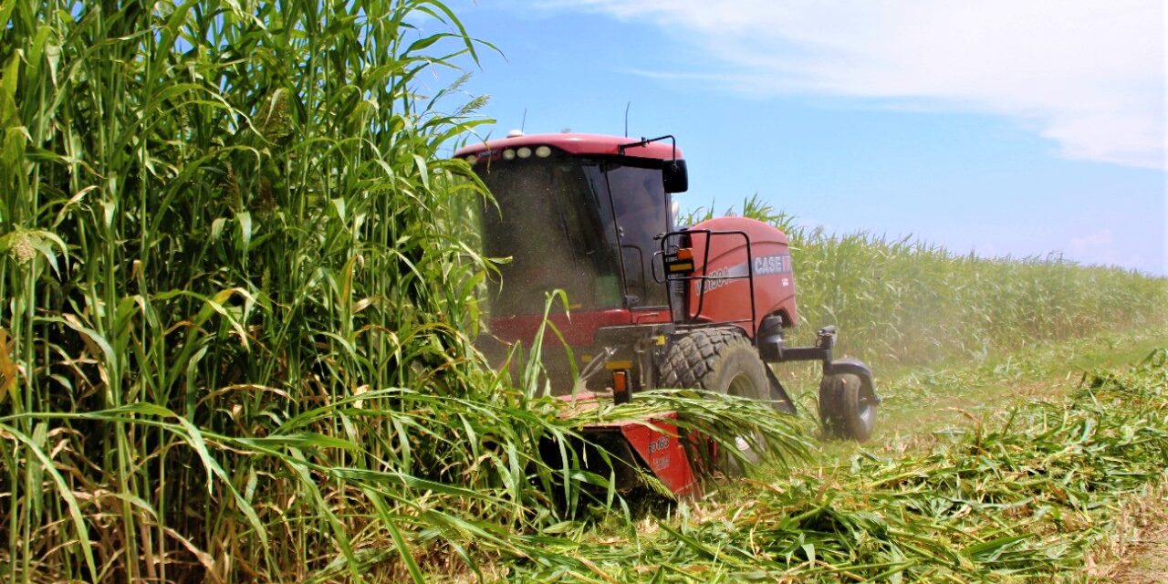Registra BC caída en exportación agrícola