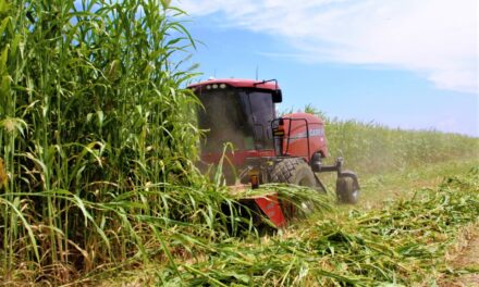 Registra BC caída en exportación agrícola