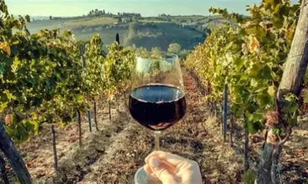 Buscarán que vino de BC cuente con denominación de origen