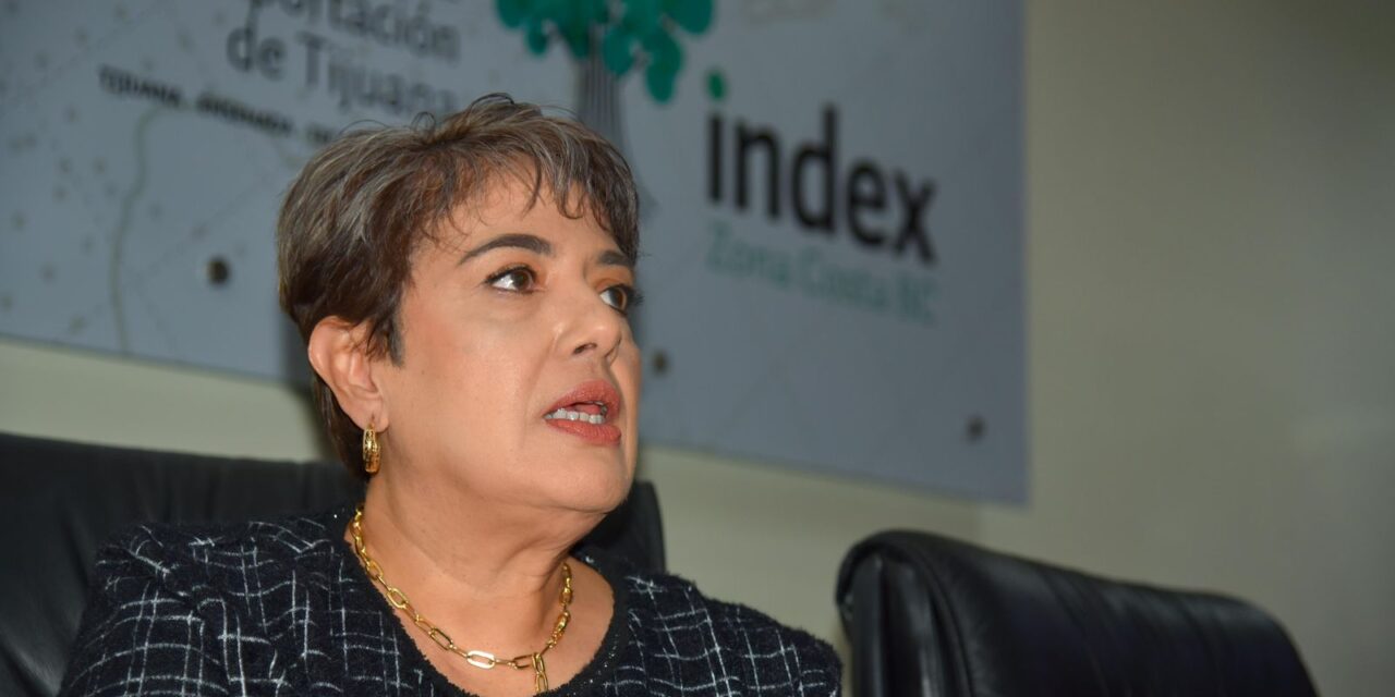 Impartirá INDEX Zona Costa seminario para preparar a la industria ante 2026