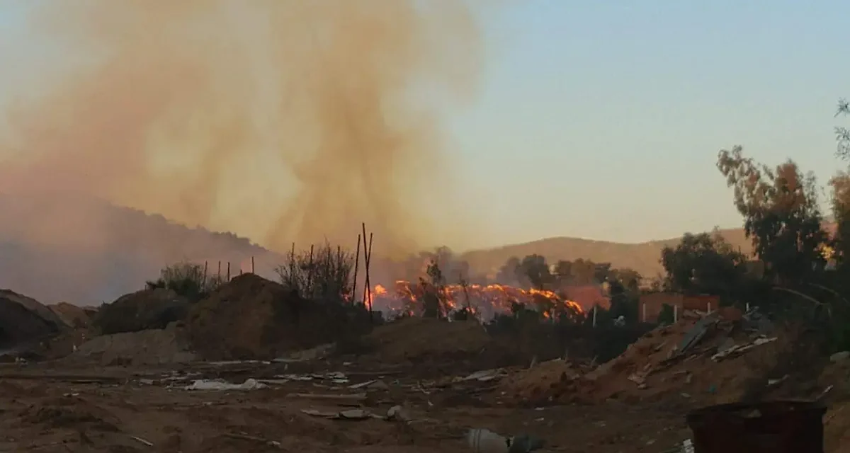 Podría tardar semanas en apagarse incendio en procesadora de aserrín