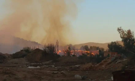 Podría tardar semanas en apagarse incendio en procesadora de aserrín