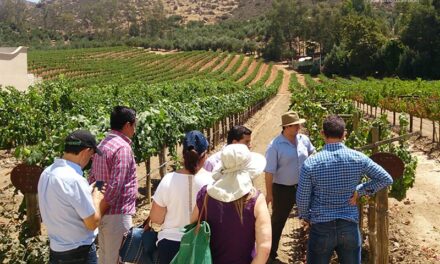 Enfrenta turismo de Ensenada un 2026 complicado, no ha crecido en 20 años