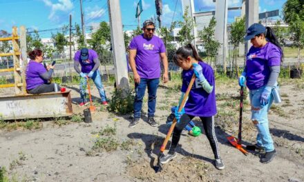Conecta Nación Verde a empresas con la restauración ecológica