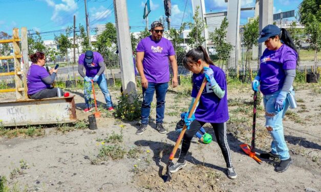 Conecta Nación Verde a empresas con la restauración ecológica