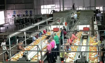 Disminuye en BC la actividad económica