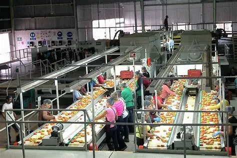 Disminuye en BC la actividad económica