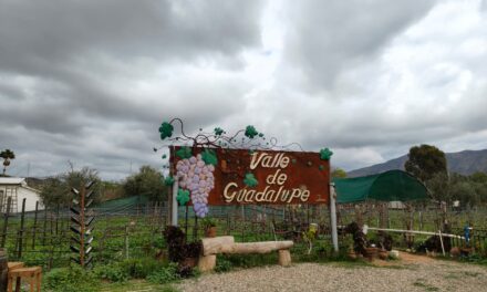 Buscan impulsar turismo del Valle de Guadalupe
