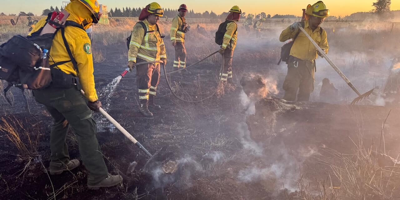 Afectadas más de 55 mil hectáreas en BC por incendios forestales