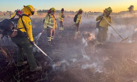 Afectadas más de 55 mil hectáreas en BC por incendios forestales