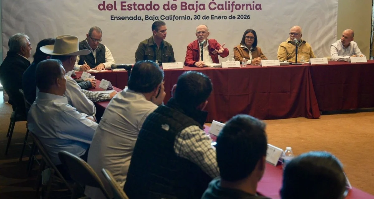 Produce Baja California el 70% del vino nacional