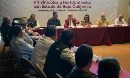 Produce Baja California el 70% del vino nacional