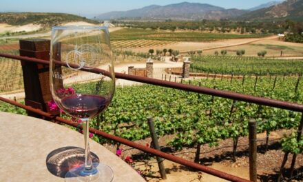 Provienen de Tijuana hasta 70% de visitantes del Valle de Guadalupe