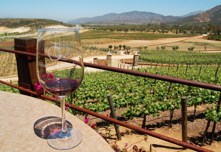 Provienen de Tijuana hasta 70% de visitantes del Valle de Guadalupe