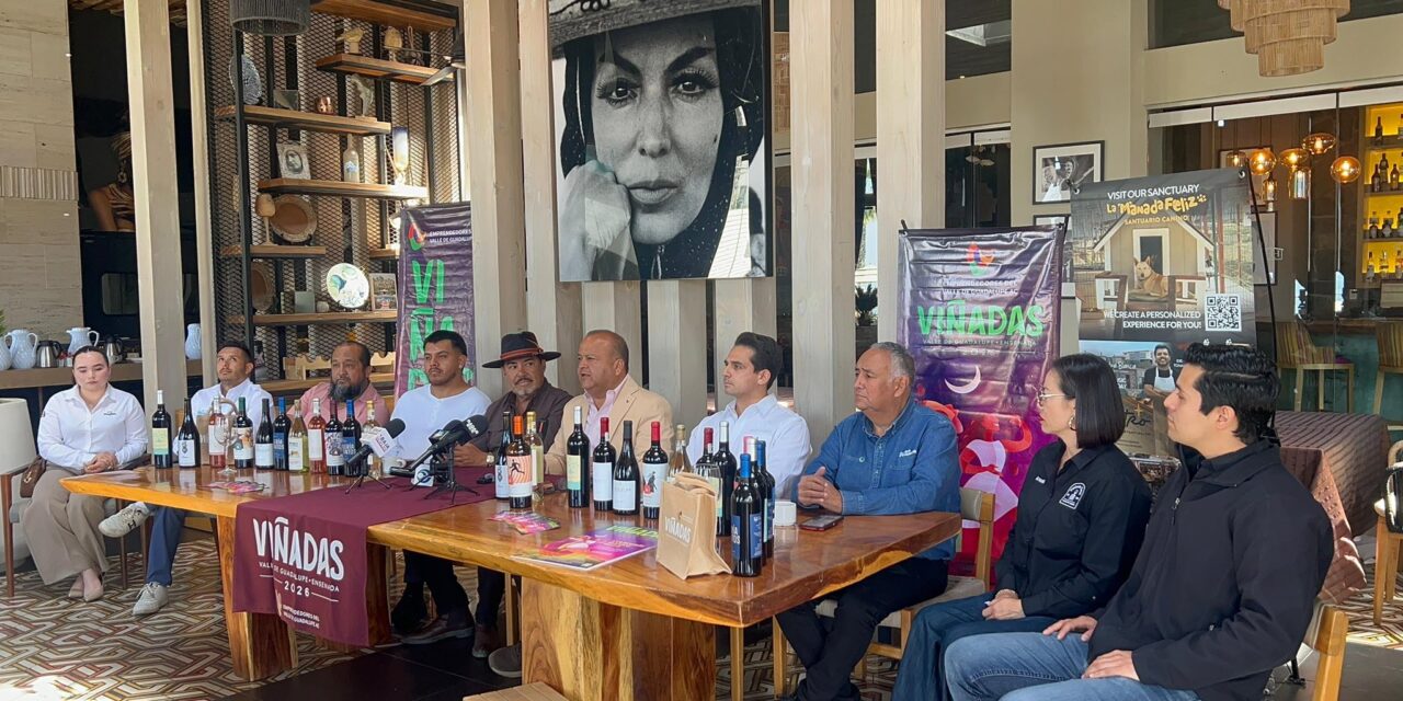Realizarán 1er evento de «Viñadas 2026» en el Valle de Guadalupe