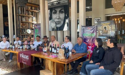 Realizarán 1er evento de «Viñadas 2026» en el Valle de Guadalupe