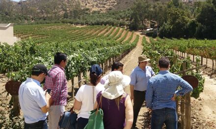 Reafirman al Valle de Guadalupe como orgullo turístico de BC