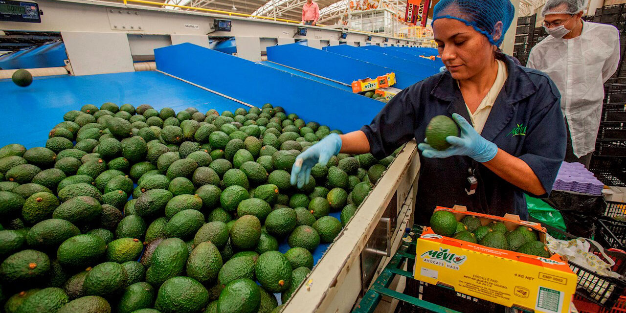Exportará México 83% de bienes agroalimentarios a la UE sin aranceles