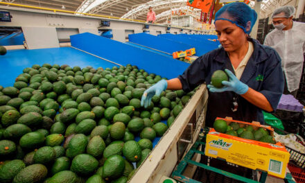 Exportará México 83% de bienes agroalimentarios a la UE sin aranceles