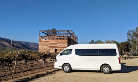 Disminuye hasta 40% el turismo en Valle de Guadalupe
