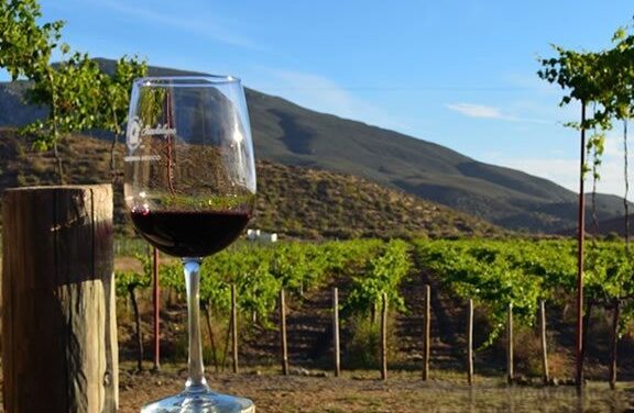 En riesgo derrama millonaria de la Ruta del Vino por baja afluencia