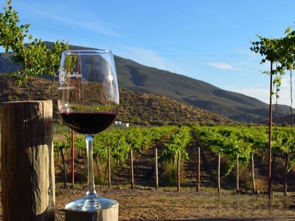 En riesgo derrama millonaria de la Ruta del Vino por baja afluencia