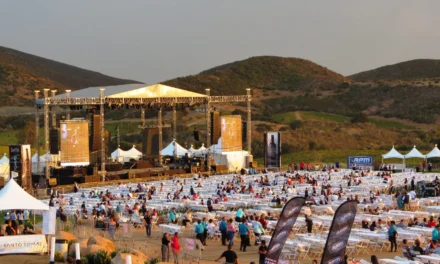Reactivan eventos y conciertos el turismo en el Valle de Guadalupe: Fetraex