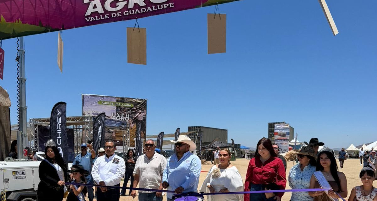Debuta la primera edición de la Expo Agro Valle de Guadalupe
