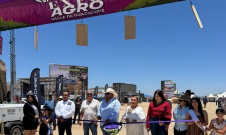 Debuta la primera edición de la Expo Agro Valle de Guadalupe