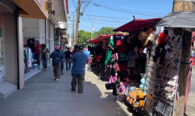 Se ubica informalidad en 38% en BC y sigue como principal desafío: SEI BC